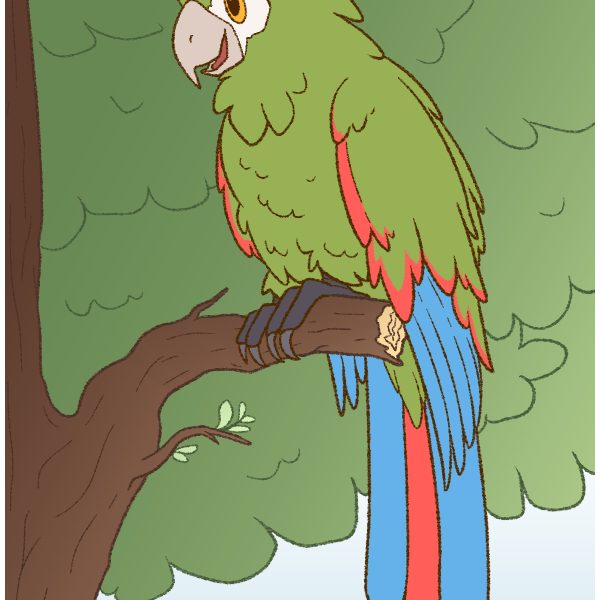 Cherrie Animal Form