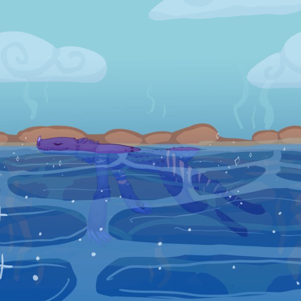 Relaxing in rock pools
