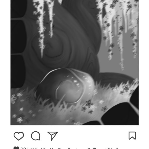Instagram Stories