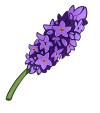 <a href="https://elyxiumbound.com/world/items?name=Enchanted Lavander" class="display-item">Enchanted Lavander</a>