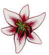 <a href="https://elyxiumbound.com/world/items?name=Enchanted Lily" class="display-item">Enchanted Lily</a>