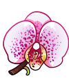 <a href="https://elyxiumbound.com/world/items?name=Enchanted Orchid" class="display-item">Enchanted Orchid</a>