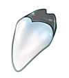 <a href="https://elyxiumbound.com/world/items?name=Human-Like Tooth" class="display-item">Human-Like Tooth</a>