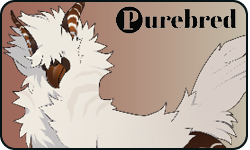 <a href="https://elyxiumbound.com/world/items?name=(U) Coffee Nudian" class="display-item">(U) Coffee Nudian</a>