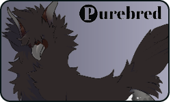 <a href="https://elyxiumbound.com/world/items?name=(C) Black Casleon" class="display-item">(C) Black Casleon</a>