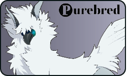 <a href="https://elyxiumbound.com/world/items?name=(C) Albino Oxin" class="display-item">(C) Albino Oxin</a>