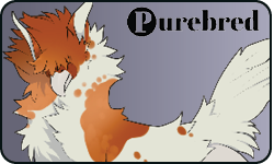 <a href="https://elyxiumbound.com/world/items?name=(C) Caramel Varae" class="display-item">(C) Caramel Varae</a>