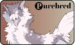 <a href="https://elyxiumbound.com/world/items?name=(U) Gray Varae" class="display-item">(U) Gray Varae</a>