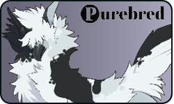 <a href="https://elyxiumbound.com/world/items?name=(C) White Varae" class="display-item">(C) White Varae</a>