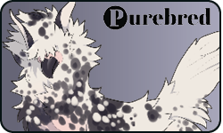 <a href="https://elyxiumbound.com/world/items?name=(C) Grey Gospel" class="display-item">(C) Grey Gospel</a>